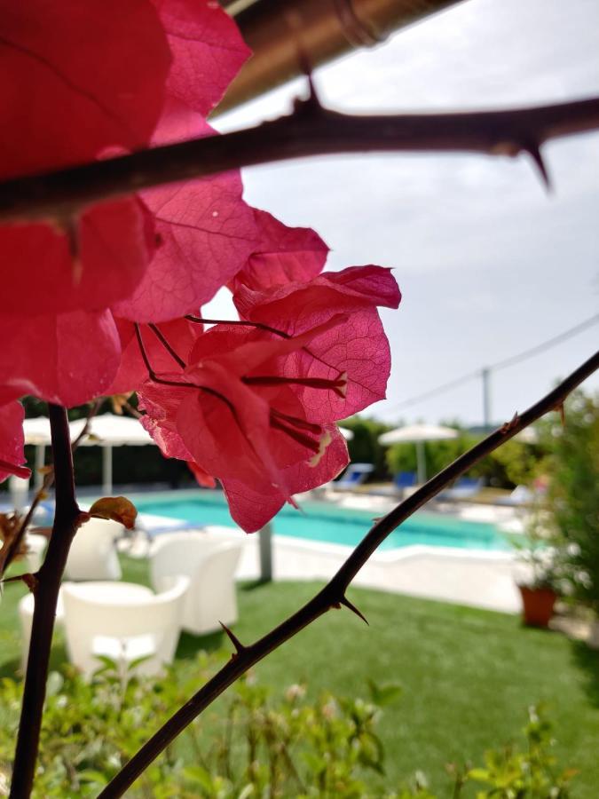 Natur Hotel Tanca Cardedu Luaran gambar