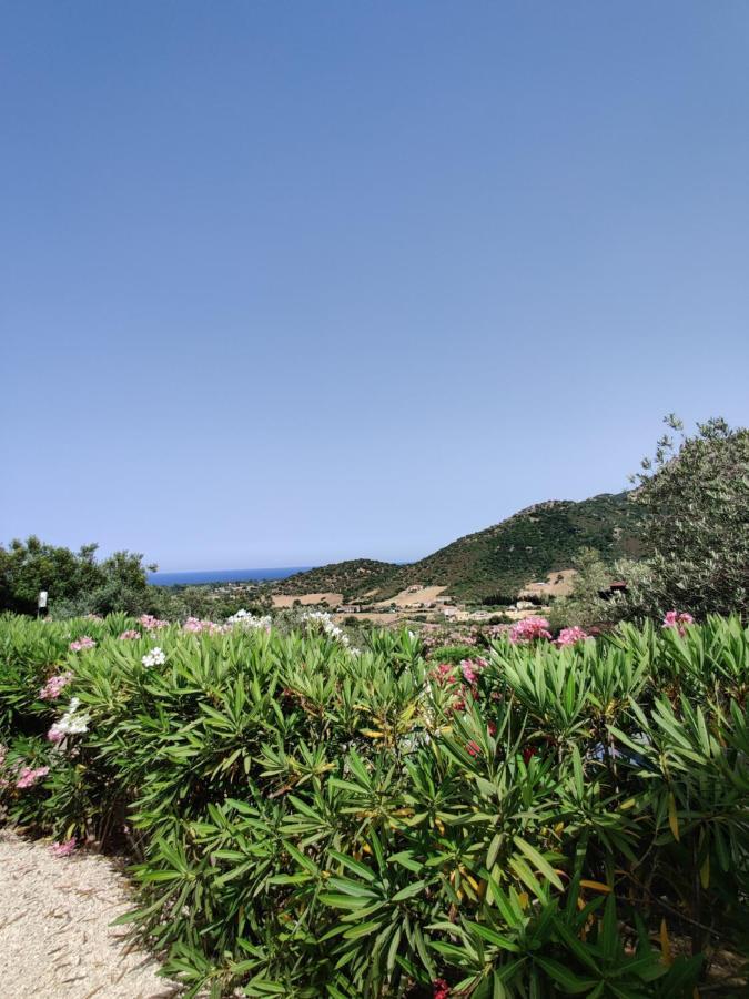 Natur Hotel Tanca Cardedu Luaran gambar