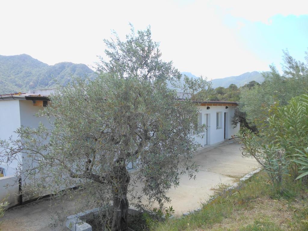 Natur Hotel Tanca Cardedu Luaran gambar